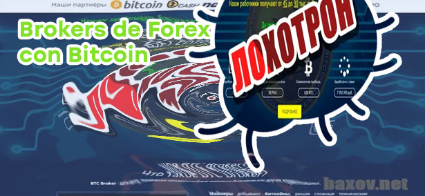 Btc brokers