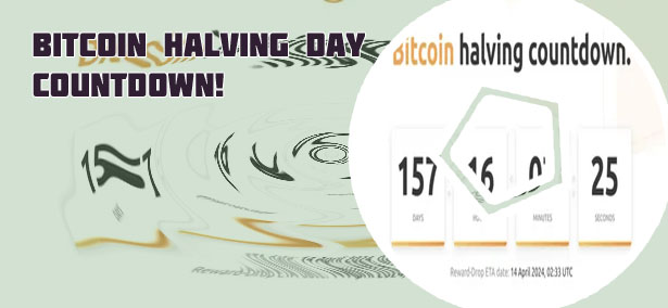 Btc halving countdown