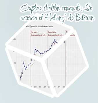 Btc halvings chart
