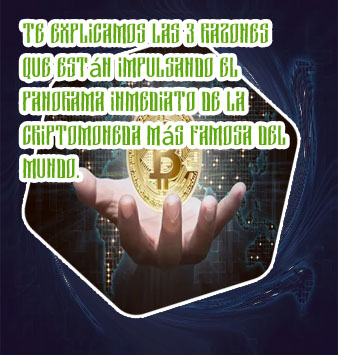 Criptomonedas que estan subiendo