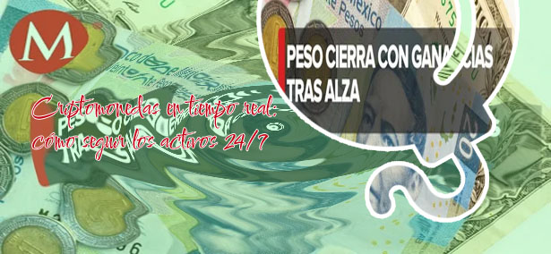 Precio criptomonedas en tiempo real