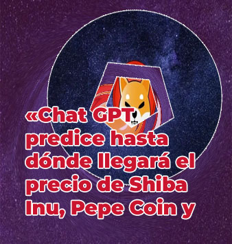 Shiba inu token en españa