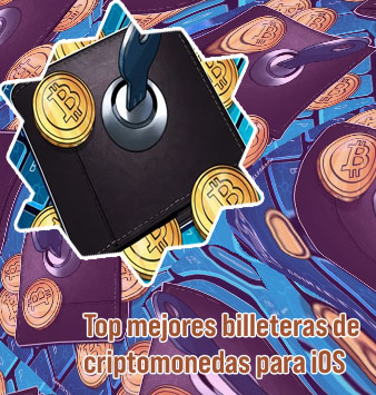 Top wallet btc